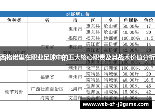 西格诺里在职业足球中的五大核心职责及其战术价值分析