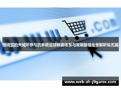 围绕加的夫城所参与的多级足球联赛体系与发展脉络全景解析纵览篇 围绕加的夫城所参与的多级足球联赛体系与发展脉络全景解析纵览篇